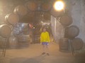 dscn0179